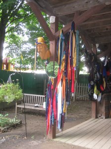The Jester hat tree, NY